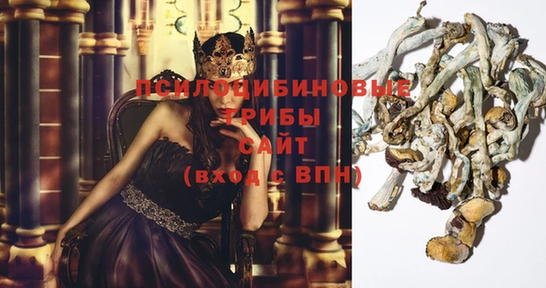 стафф Алзамай
