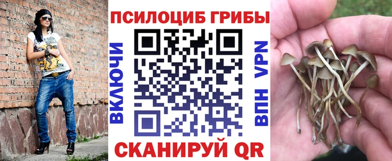 Псилоцибиновые грибы ЛСД  Порхов 